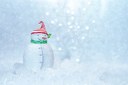 Globe_snowman-geed5b025b_1920.jpg